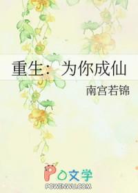 万能煮茶壶